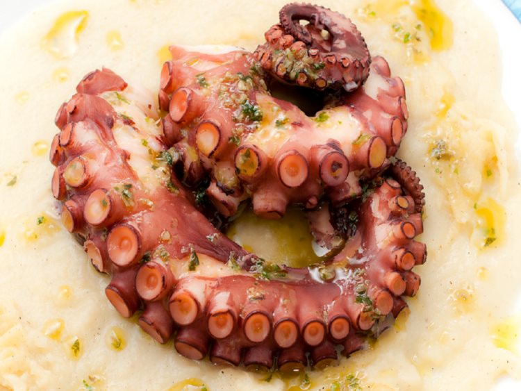 Buy Our 4 lb Gift Box of Premium Octopus online for $159.95 with free shipping.
