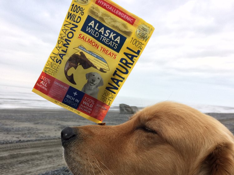 Salmon Treats For Dogs