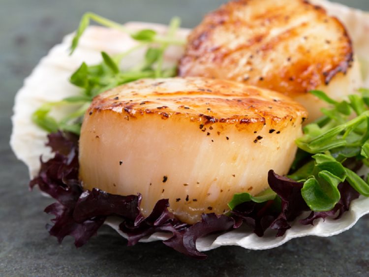 Enjoy this 10 lb box of the largest Alaskan Weathervane Scallops available.
