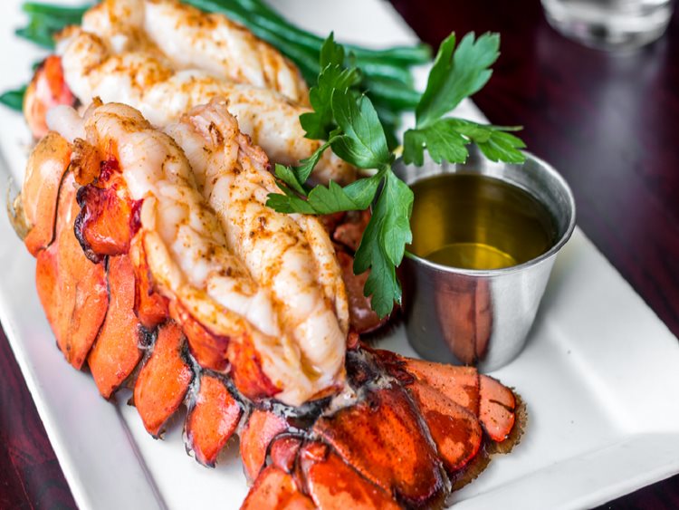 Our 16-20 ounce lobsters for sale make a great entrée for any event or special occasion.