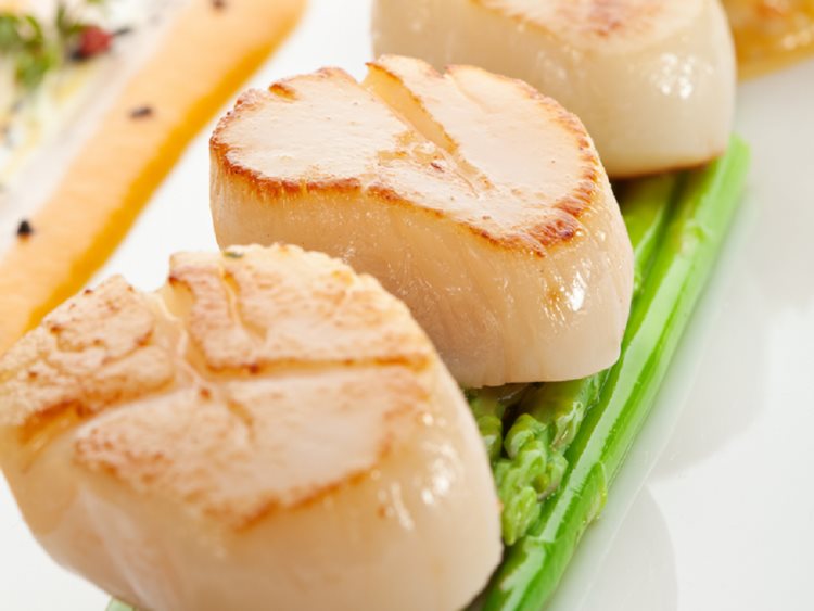  A golden brown, jumbo sea scallop is a delicacy, both mouthwatering and juicy.   