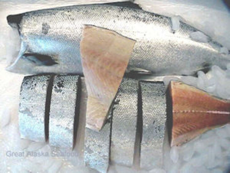 Each Whole White King Salmon will weigh between 8-10 lbs with the heads and guts removed.